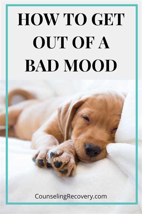 How to get out of a bad mood. Things To Know About How to get out of a bad mood. 